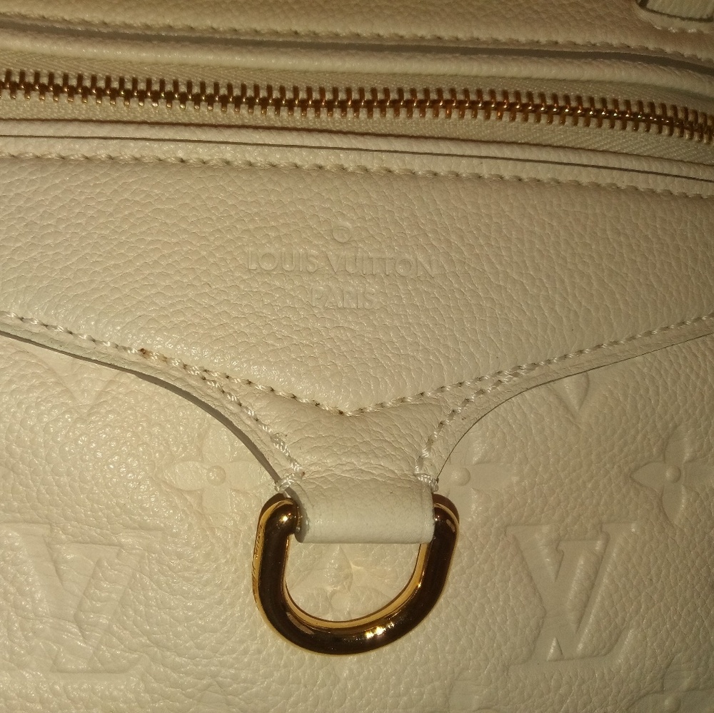 Louis Vuitton Monogram Empreinte bag